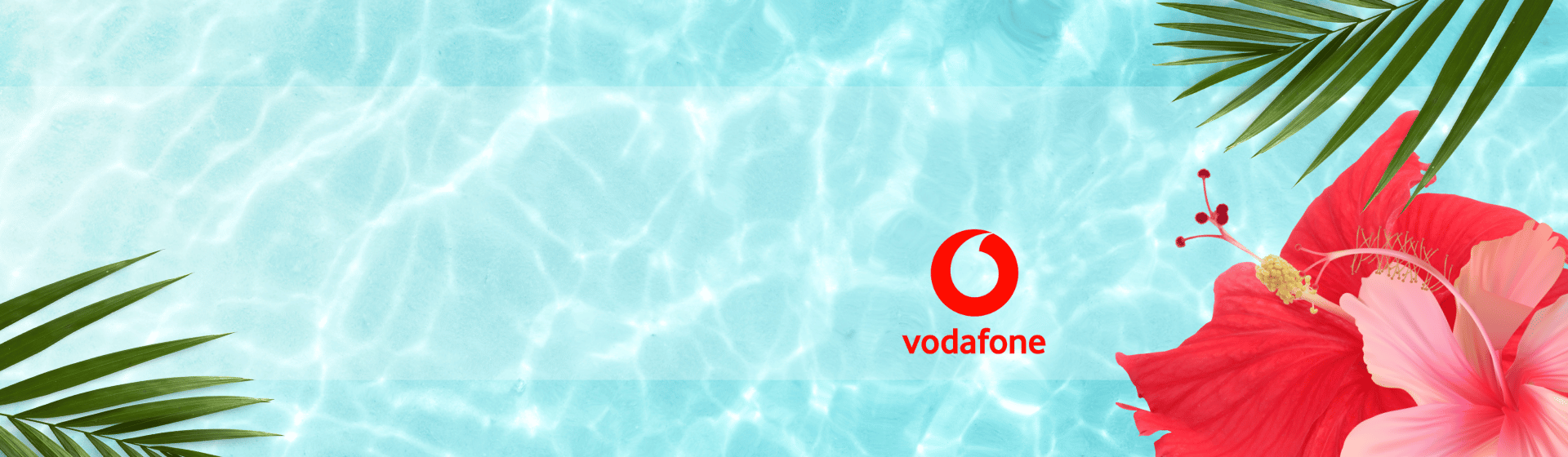 Summer Deal